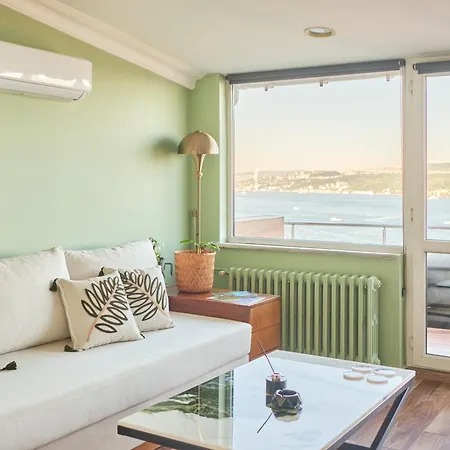 Deluxe Duplex W 210 Bosphorus View In Cihangir Lejlighed Istanbul