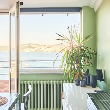 Lejlighed Deluxe Duplex W 210 Bosphorus View In Cihangir