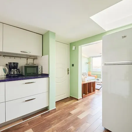 Lejlighed Deluxe Duplex W 210 Bosphorus View In Cihangir
